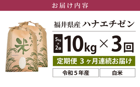 定期便≪3ヶ月連続お届け≫ハナエチゼン 10kg × 3回 令和5年 福井県産 [e30-c010]