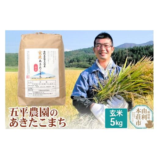 ふるさと納税 秋田県 由利本荘市 米 5kg  あきたこまち 令和5年産 秋田県産 五平農園のあきたこまち 5kg