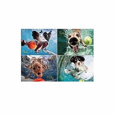 Willow Creek Press 1000ピースパズル 大人用 水中犬 ジグソーパズル 写真遊びボール 並行輸入品 通販 Lineポイント最大get Lineショッピング