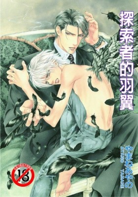 探索者的羽翼~系列3[二手書_良好]
