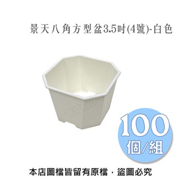 景天八角方型盆3.5吋(4號)-白色  100個/組