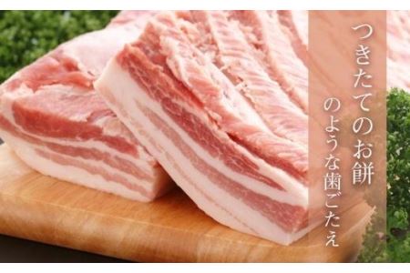 越後もちぶた焼肉セット