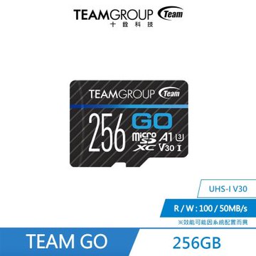 Team 十銓 GO Card 256GB MicroSD UHS-I U3 運動攝影機專用記憶卡 (含轉卡+終身保固)