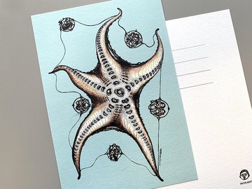 海星零重力 - 明信片及高品質畫作印刷