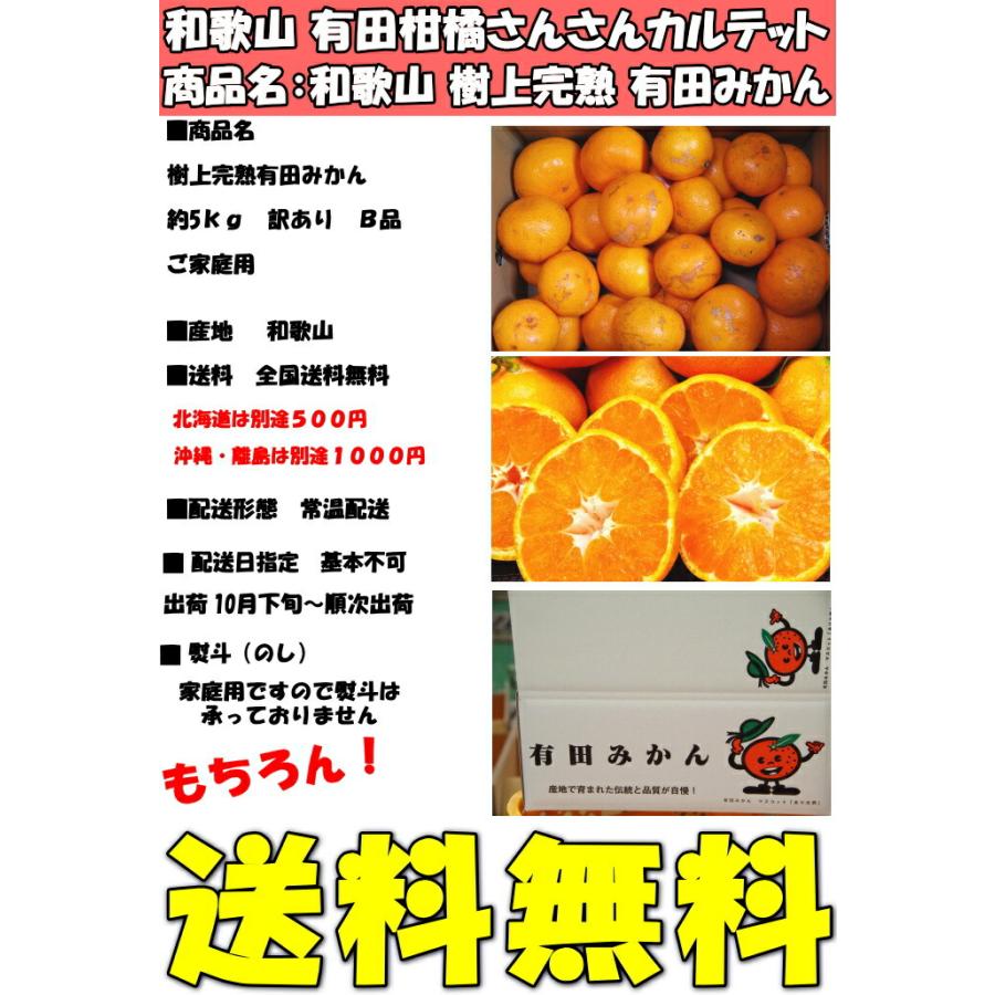 みかん 有田 訳あり 甘い 糖度 和歌山 有田柑橘さんさん 樹上完熟 B品 早生 5kg 2l〜ss 家庭用 箱 買い