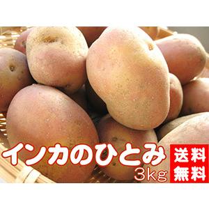 インカのひとみ 3kg (サイズ無選別) インカのめざめの新品種  北海道産 (送料無料) ※只今発送中