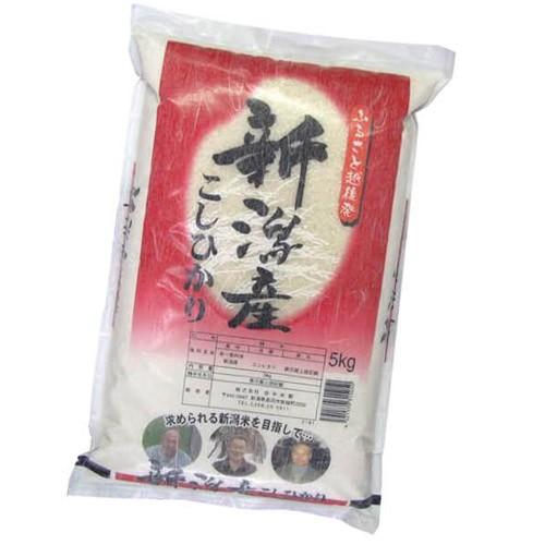 《送料無料》新潟県産「コシヒカリ」　白米　5kg ○