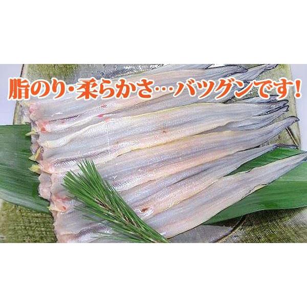 あなご 穴子 フィレ約50〜60ｇ×10枚入りあなご