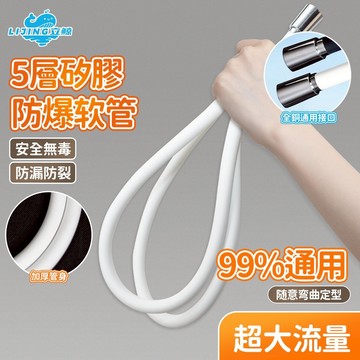 立鯨🐳蓮蓬頭水管 防爆水管 硅膠軟管 1.5m水管 2米水管 全銅接口 連澎頭水管  德國工藝 品牌水管 乾淨水管