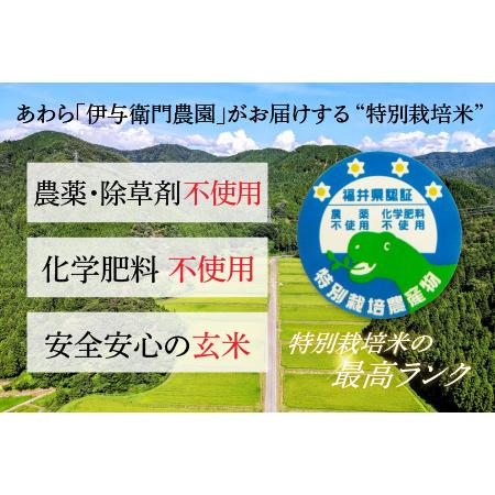 ふるさと納税 コシヒカリ 玄米 5kg 特別栽培米 化学肥料不使用  ＜温度と湿度を常時管理し新鮮米を出荷！＞   伊与.. 福井県あわら市