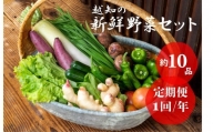 越知産市の季節の野菜セット(年1回発送)　産地直送　旬野菜