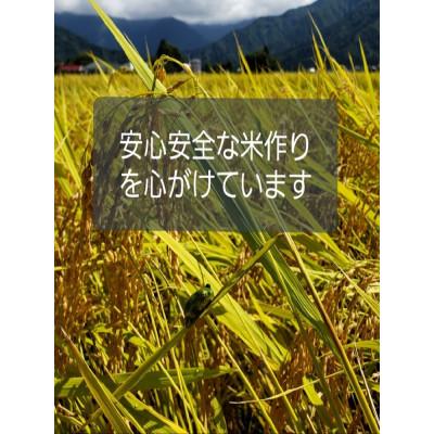 ふるさと納税 南魚沼市 遁所農場の南魚沼産コシヒカリ　無洗米10kg(5kg×2袋)