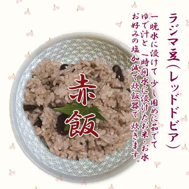 ラジマレッドロビア 豆 赤インゲン豆 赤インゲン レッドキドニー 1kg ミャンマー産 賞味期限2024.12.31