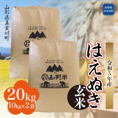 ふるさと納税 真室川町 令和5年産 はえぬき  20kg(10kg×2袋) 山形県 真室川町