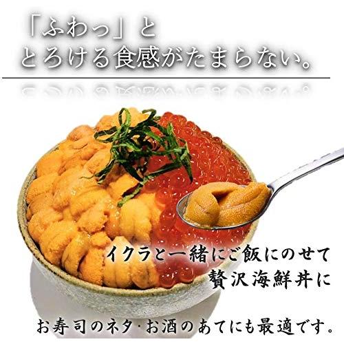 　北海道産　蝦夷バフンウニ100ｇ　いくら500ｇ　セット　うに　イクラ　うにいくら　ウ