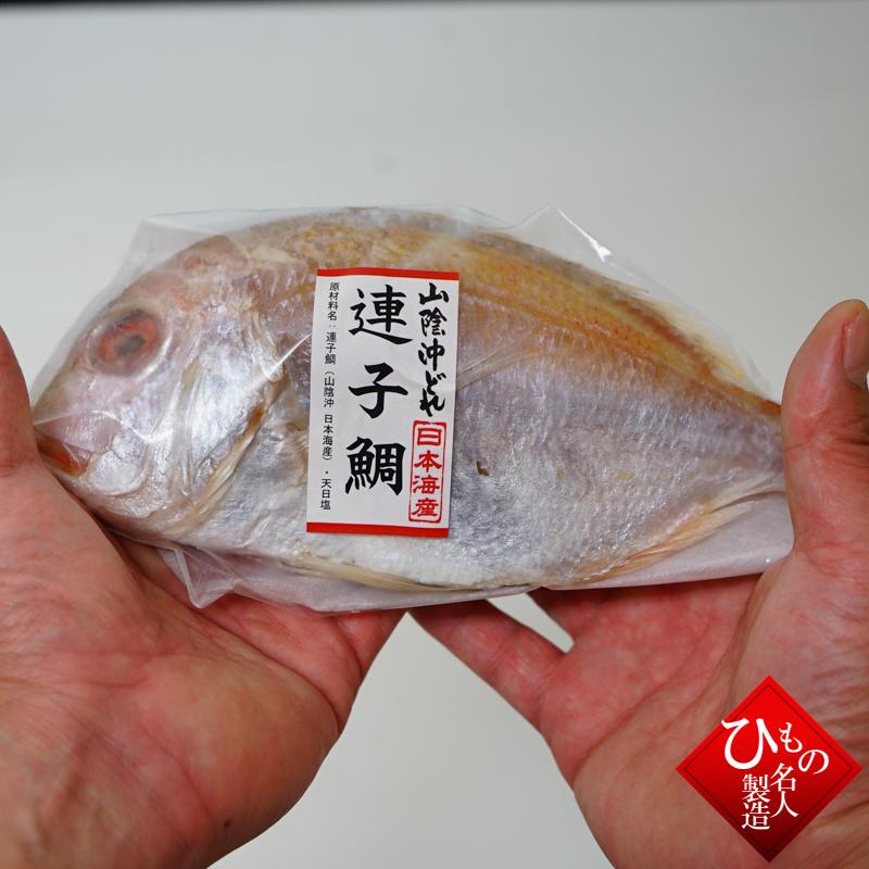 連子鯛丸干し（れんこだい） 干物（単品）  お取り寄せグルメ 山陰沖日本海産