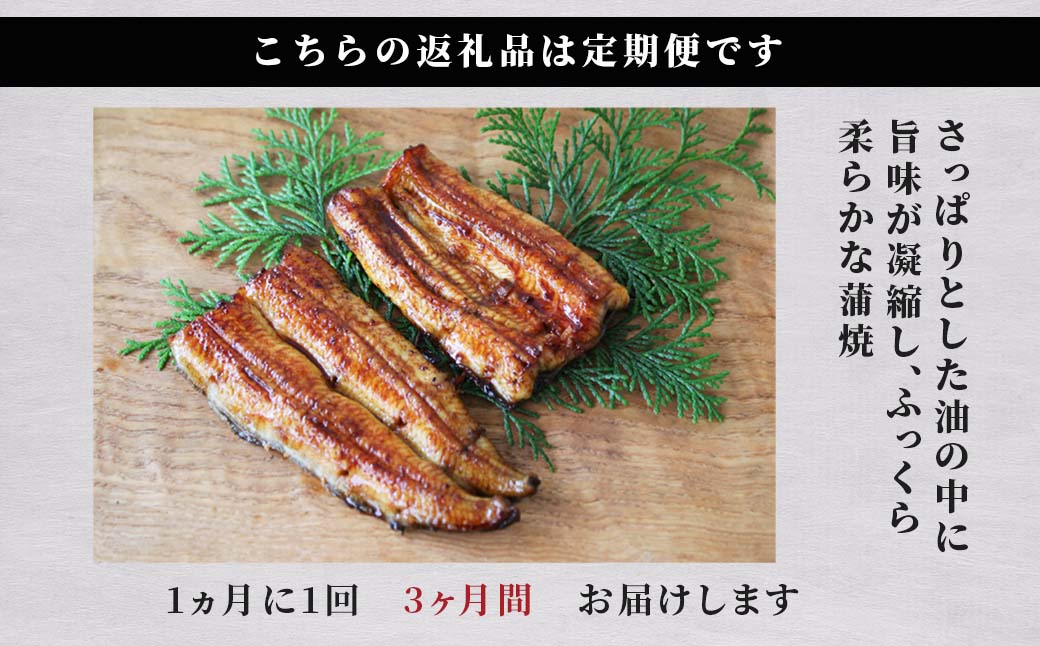 国産うなぎ  手焼き蒲焼 2尾(220g以上)セット 森のうなぎ  A-AA-B01A