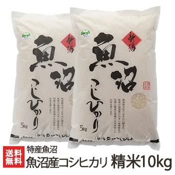 魚沼産 コシヒカリ 精米 10kg（5kg×2） 特産魚沼 送料無料