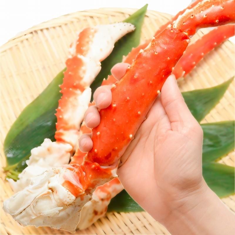 タラバガニ たらばがに 超特大 極太 7L 1.3kg ×2肩 セット 合計 2.6kg 前後 足 脚 肩 セクション 正規品 かに カニ 蟹 ボイル 冷凍 かに鍋 焼きガニ