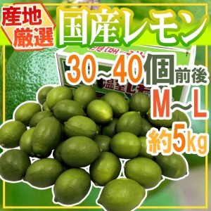 ”国産レモン” 約5kg 30～40玉前後 M～L 産地厳選 送料無料