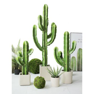 仿真仙人掌北歐落地大型號假植物仙人柱盆栽熱帶沙漠綠植櫥窗擺件