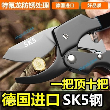 德國進口鋼粗枝剪刀 滑輪省力修枝剪 省力嫁接園林工具剪刀 園藝修花木果樹嫁接園林剪工具 強力花枝剪 修枝剪 果樹修剪神器