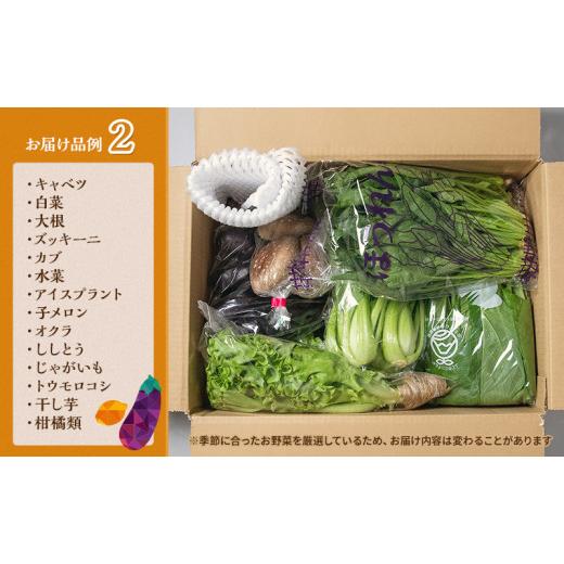 ふるさと納税 静岡県 袋井市 とれたて野菜パック 定期便4回 (2ヶ月おき) 季節の野菜セット 詰め合わせ 10品前後 ジャガイモ 人参 大根 小松菜 白ネギ グリンリ…