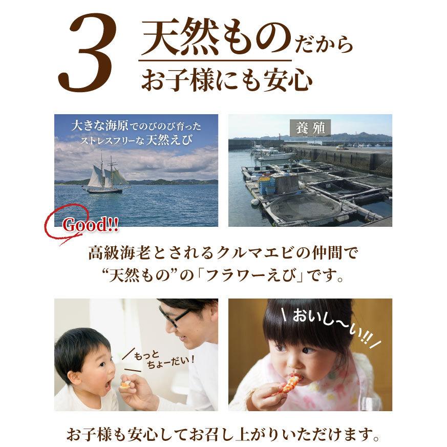 産地直送九州 お取り寄せ エビ えび むきえび 海鮮 徳用 大容量 業務用お歳暮 BBQ お歳暮 帰省暮 送料無料