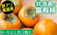 2023年先行予約 志波の富有柿 家庭用 M～2Lサイズ×約12個入※配送不可：離島