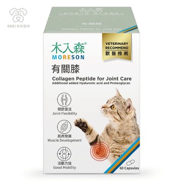 【現貨】木入森 貓咪有關膝｜貓咪專用 關節營養補充 成貓 老貓 寵物保健 胜肽膠原蛋白 保健食品 入木森 ｜R