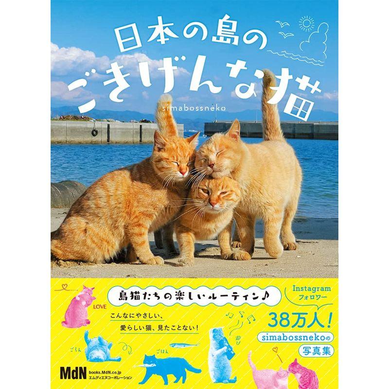 日本の島のごきげんな猫