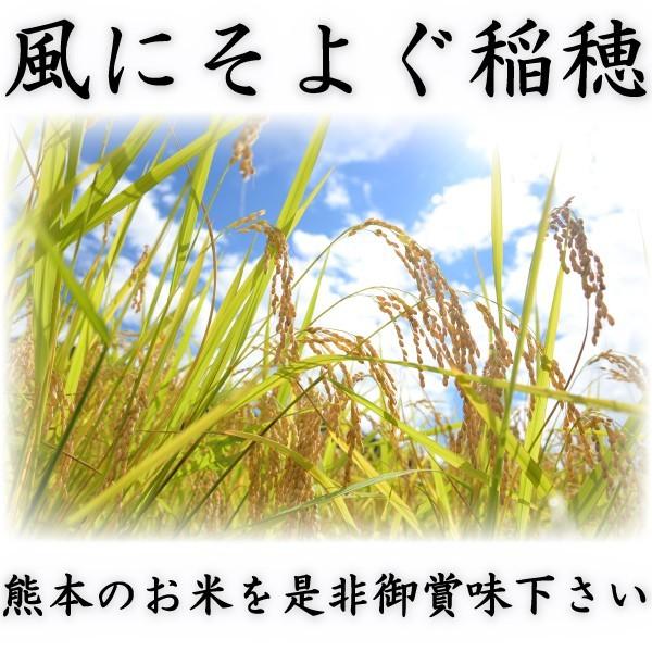 お米 米 25kg 白米 熊本県産 こしひかり あすつく 新米 令和5年産 コシヒカリ 5kg5個 くまもとのお米 富田商店 とみた商店