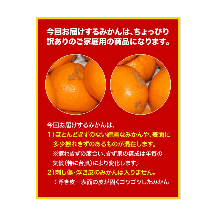 長崎 みかん 西海小玉みかん 10kg 3S〜Sサイズ混合 早生 糖度11〜13度 ちょっぴり訳あり ご家庭用 送料無料 産地直送 S常