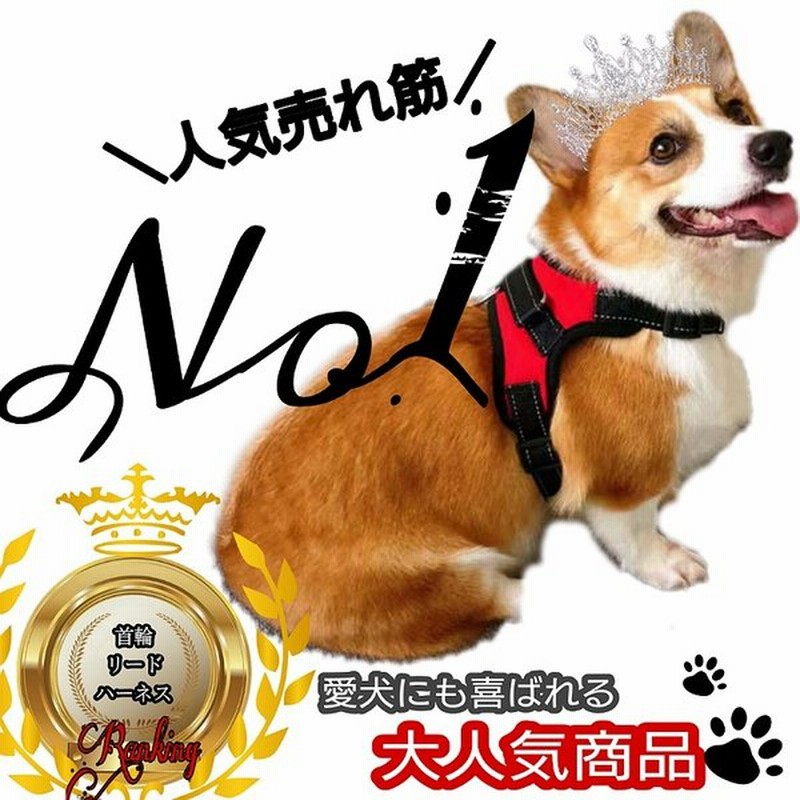 ハーネス 犬 おしゃれ 小型犬 中型犬 大型犬 かわいい トイプードル ベルト 介護 通販 Lineポイント最大get Lineショッピング