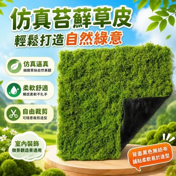 ⚡台灣直出⚡優選⭐仿真苔蘚造景假青苔毛線草皮綠植微景觀人造草坪室內裝飾