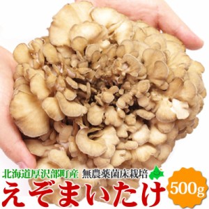 舞茸 えぞまいたけ 500g（1株）蝦夷舞茸 無農薬 北海道産 厚沢部町 国産 無農薬 菌床栽培 きのこ マイタケ お取り寄せ