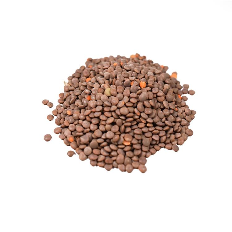 アリサン 有機レンズ豆（皮付き） 1kg 2袋 送料込