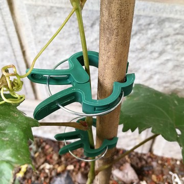 台灣出貨👑園藝植物夾 花夾 塑膠夾 花盆 園藝夾 嫁接夾 藤蔓夾 大號 夾子 園藝 植物固定夾