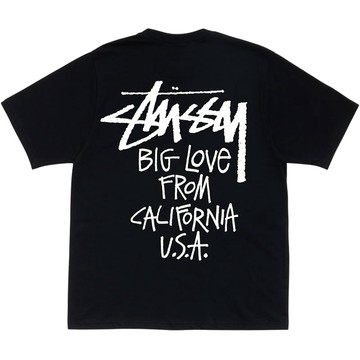 STUSSY 1905218 BIG LOVE TEE 短T (黑色)