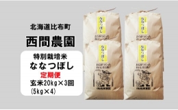 西間農園　2023年産新米　ななつぼし(特別栽培米)　玄米20㎏