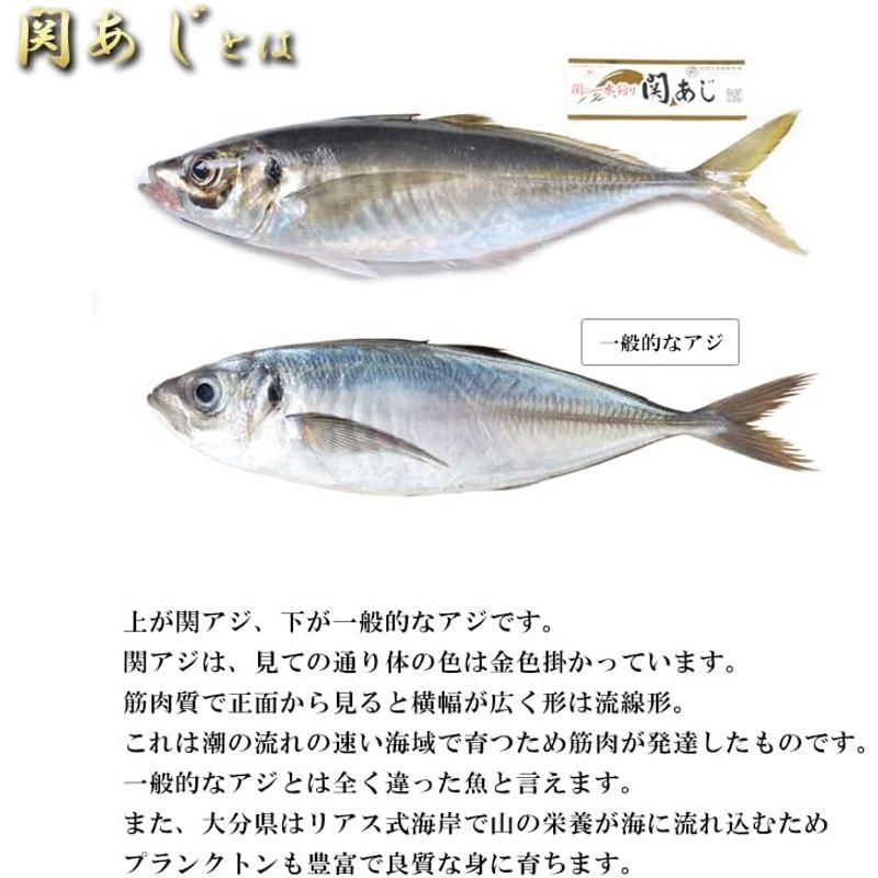 関アジ一夜干し Sサイズ 4枚 大分県産 佐賀関漁協