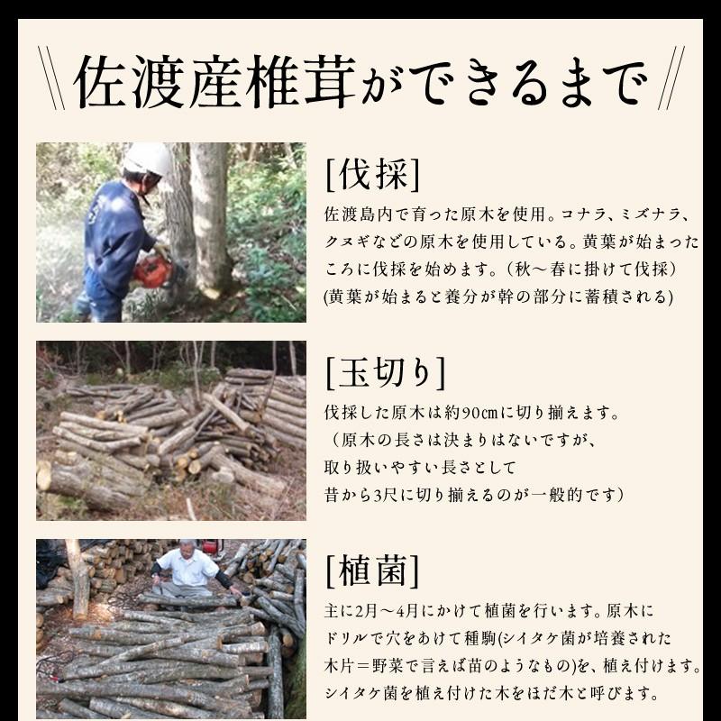 干し椎茸 国産 しいたけ 原木栽培 乾燥椎茸 原木しいたけ 佐渡産 完全無農薬 肉厚 お取り寄せ 60g