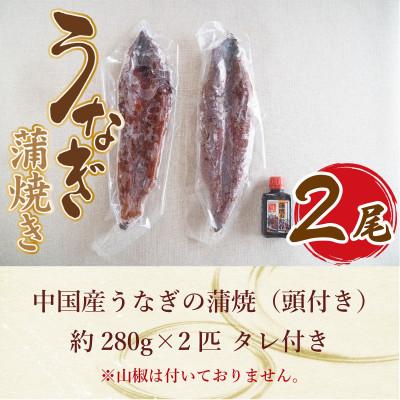 ふるさと納税 篠栗町 中国産 うなぎの蒲焼2尾 タレ付き(頭付き)