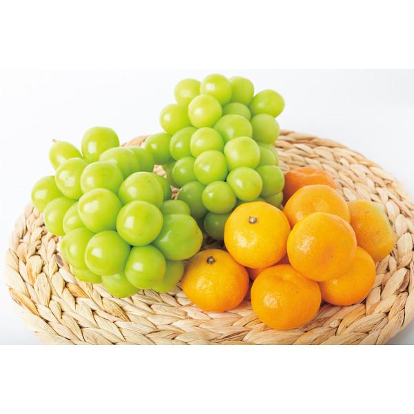 贅沢な国産フルーツ5種詰合せ  冷蔵商品