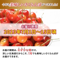 先行予約 横山農園 さくらんぼ800g（200g×4）