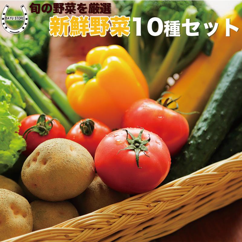 お任せ 野菜セット 約10種 お取り寄せ 詰め合わせ 常備菜 一人暮らし 仕送り