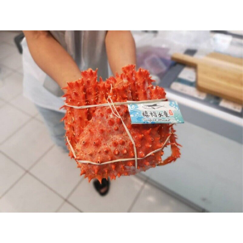 【禧福水產】智利熟凍帝王蟹/無包冰/鱈場蟹◇$特價只要650元/650g±10◇最低價秋蟹居酒屋日本料理燒烤熱炒餐廳團購