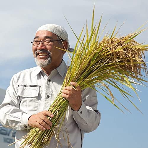 新米 令和5年産 富山県産 コシヒカリ 黒部川扇状地で育ったドリームファームのこだわり米 (5kg) 厳選米