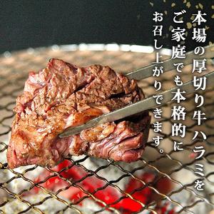 ふるさと納税 ハラミ　厚切り　味付き　牛ハラミ　500ｇ　冷凍　牛肉　味付　焼肉　バーベキュー　ＢＢＱ　宮城県　東松島 宮城県東松島市