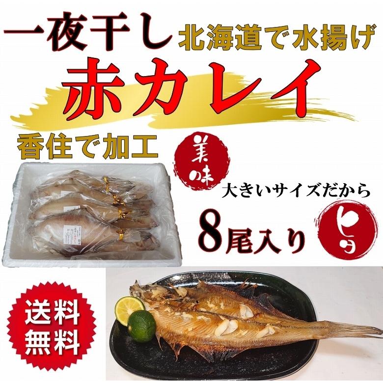 干物 カレイ かれい 赤カレイ 赤かれい アカカレイ 一夜干し 特大 8尾入り 北海道産 身厚 大容量 冷凍便 送料無料